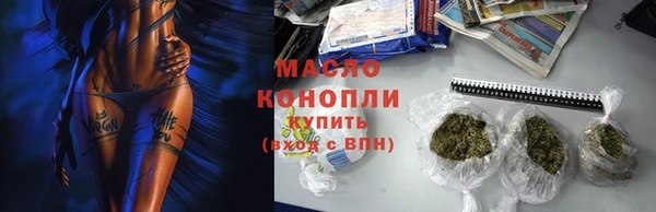 индика Абинск