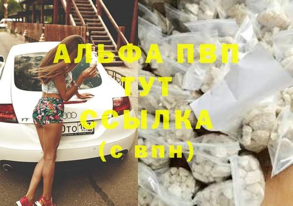 индика Абинск