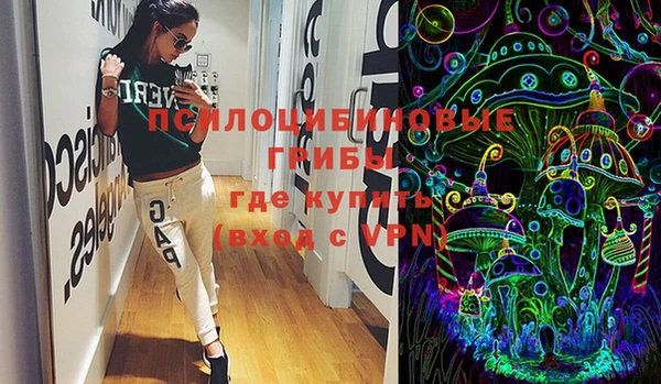 индика Абинск