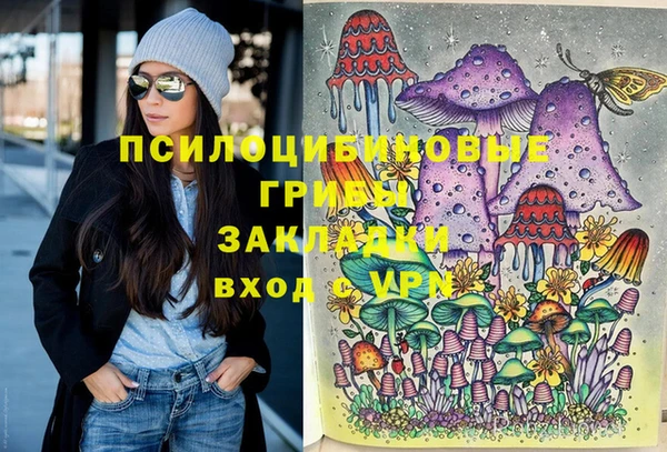 индика Алзамай