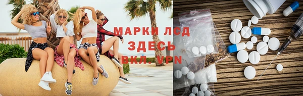 индика Абинск
