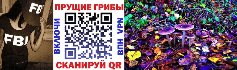 Псилоцибиновые грибы мицелий  что такое   Чухлома 